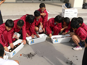 チューリップを植える、米沢市立第四中学校の生徒達の画像