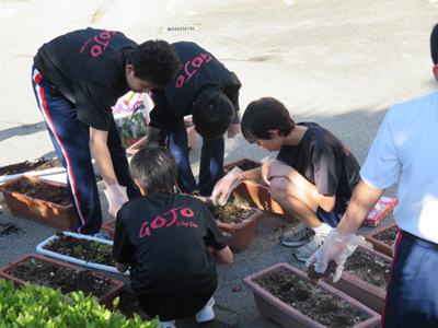 チューリップを植える五條市立五條中学校の生徒達の画像