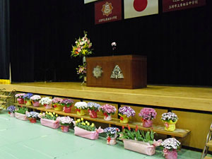 三好市立東祖谷小・中学校の入学式を飾るチューリップの画像