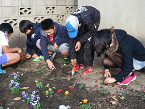 公民館にチューリップを植える高崎市立滝川小学校の児童達の画像