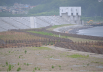 防潮堤から望む柵で囲まれた場所に松苗の試験植樹がされていた