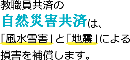 自然災害共済は風水雪害と地震を補償