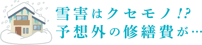 雪はクセモノ