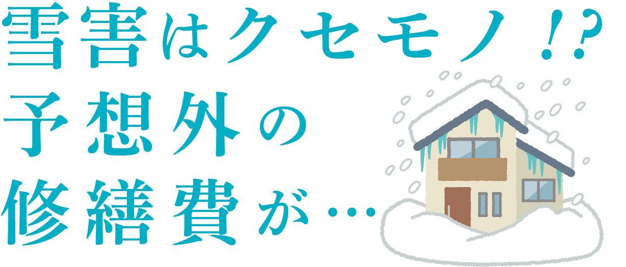 雪はクセモノ