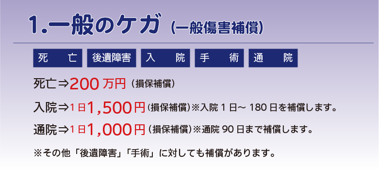 一般傷害